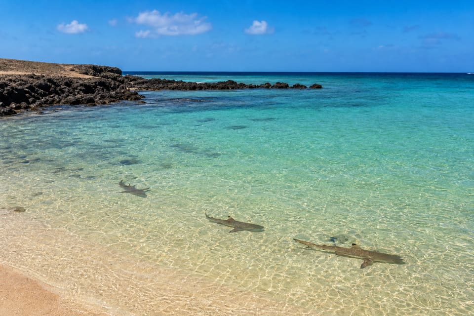Baía dos tubarões (Shark Bay) na Ilha do Sal